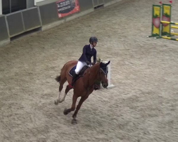 Reitturnier Mönchengladbach-Abtshof 2016