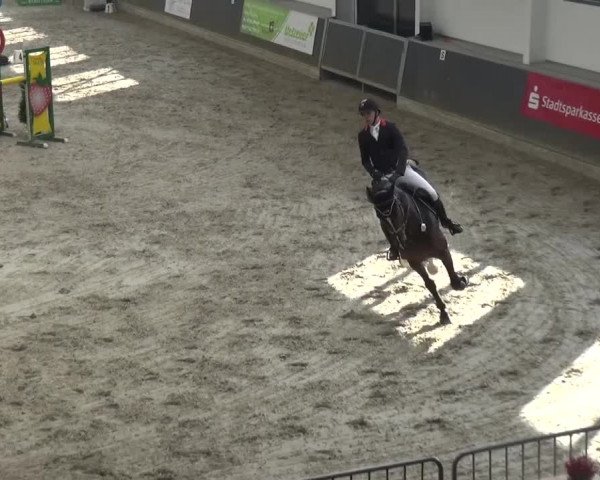 Reitturnier Mönchengladbach-Abtshof 2016