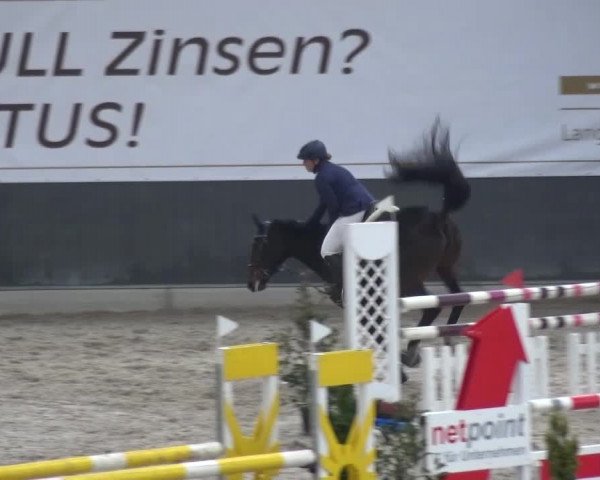 Reitturnier Mönchengladbach-Abtshof 2016