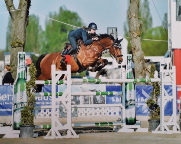 Springpferd Cool Conrad S (Oldenburger, 2010, von Carenaro)