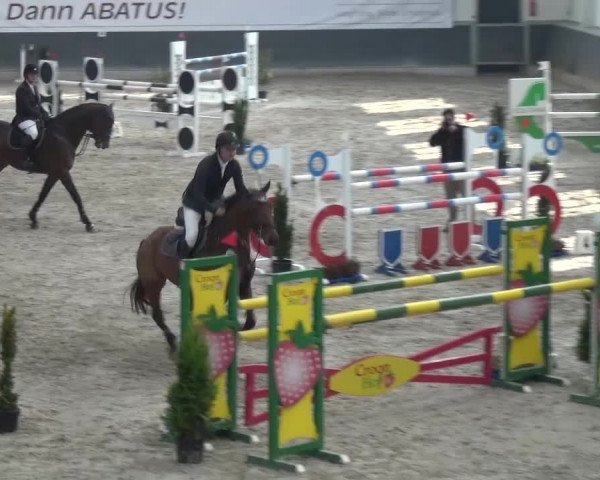 Reitturnier Mönchengladbach-Abtshof 2016