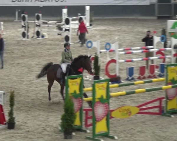Reitturnier Mönchengladbach-Abtshof 2016