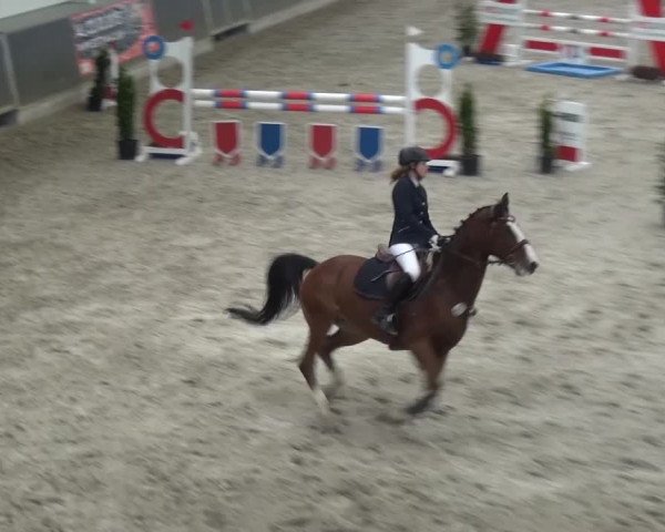Reitturnier Mönchengladbach-Abtshof 2016