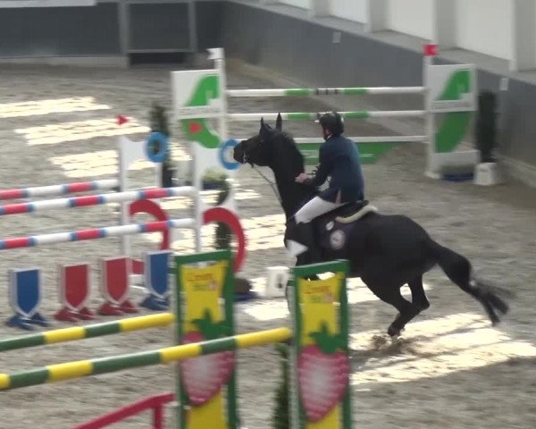 Reitturnier Mönchengladbach-Abtshof 2016