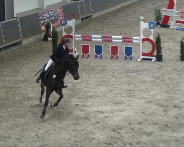 Reitturnier Mönchengladbach-Abtshof 2016