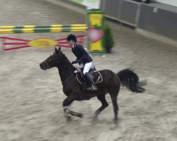 Reitturnier Mönchengladbach-Abtshof 2016