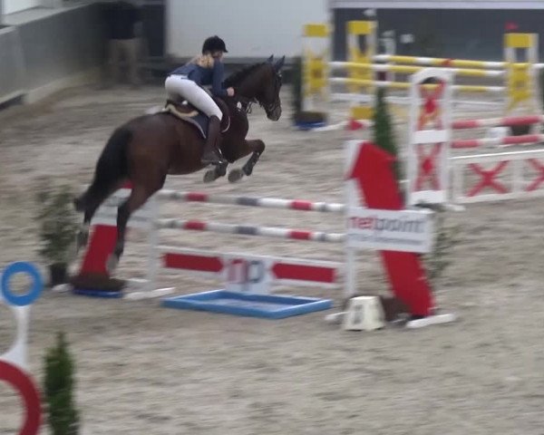 Reitturnier Mönchengladbach-Abtshof 2016