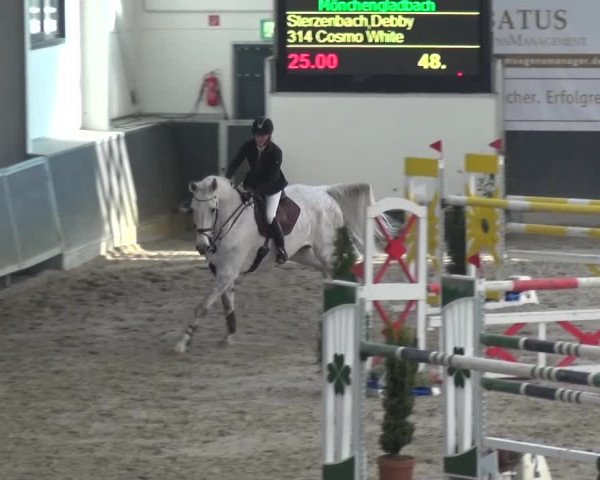 Reitturnier Mönchengladbach-Abtshof 2016
