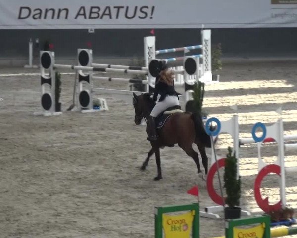 Reitturnier Mönchengladbach-Abtshof 2016