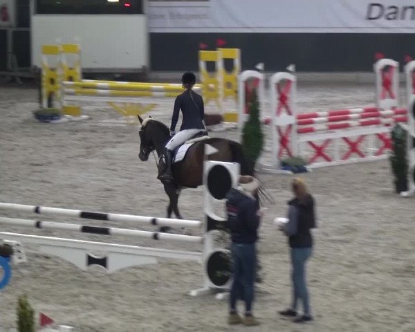 Reitturnier Mönchengladbach-Abtshof 2016