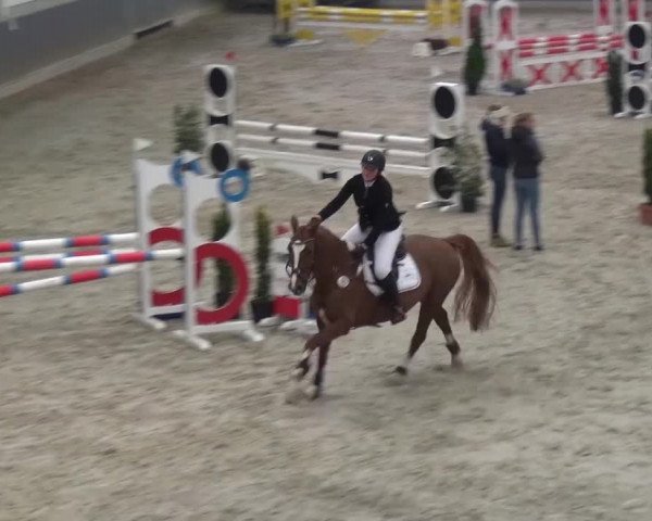 Reitturnier Mönchengladbach-Abtshof 2016