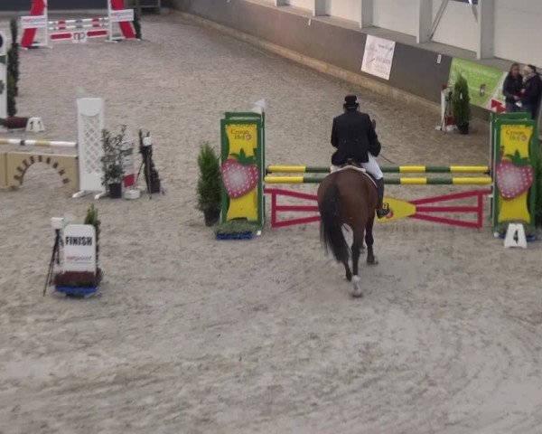 Reitturnier Mönchengladbach-Abtshof 2016