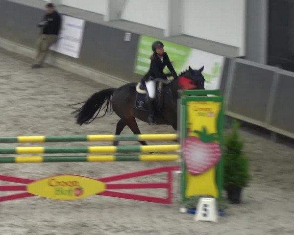 Reitturnier Mönchengladbach-Abtshof 2016
