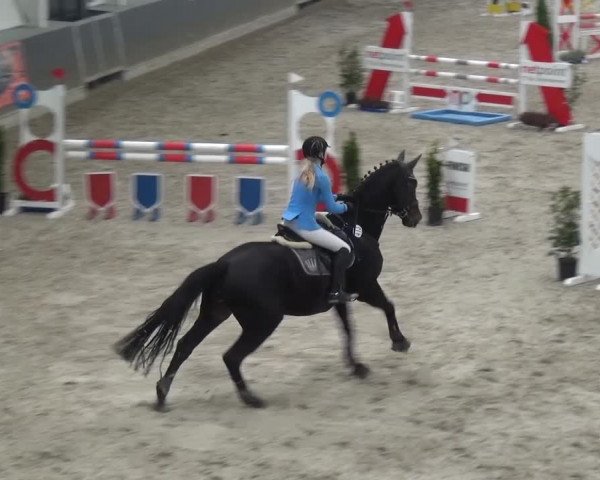 Reitturnier Mönchengladbach-Abtshof 2016