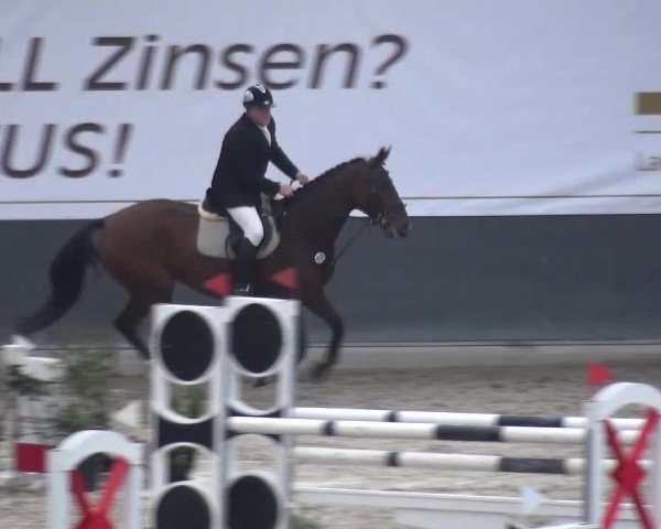 Reitturnier Mönchengladbach-Abtshof 2016