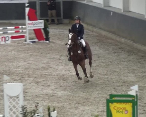 Reitturnier Mönchengladbach-Abtshof 2016