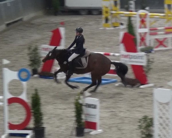 Reitturnier Mönchengladbach-Abtshof 2016