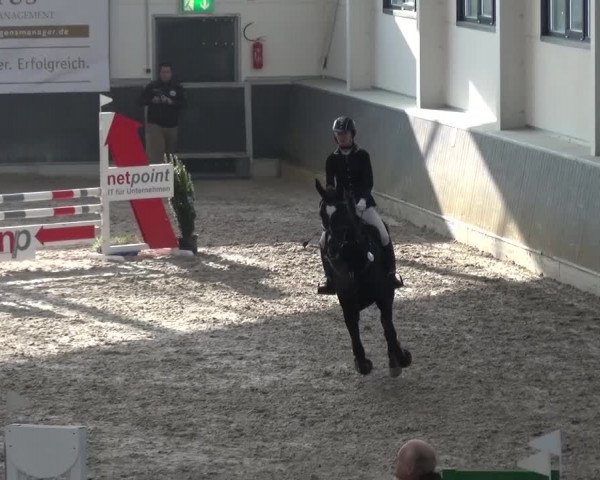 Reitturnier Mönchengladbach-Abtshof 2016