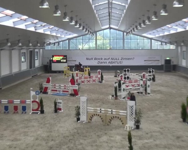 Reitturnier Mönchengladbach-Abtshof 2016