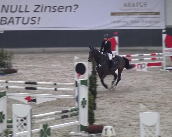 Reitturnier Mönchengladbach-Abtshof 2016