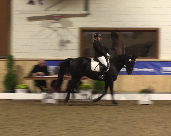 Dressur- und Jugendturnier Hövelhof 2016