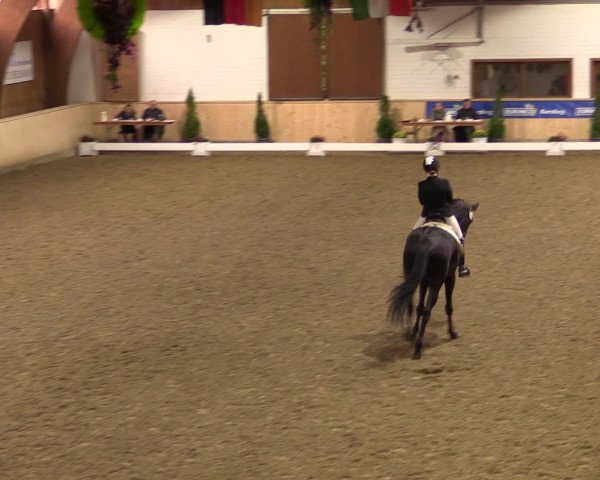 Dressur- und Jugendturnier Hövelhof 2016