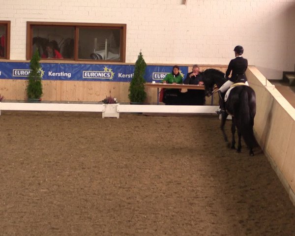 Dressur- und Jugendturnier Hövelhof 2016