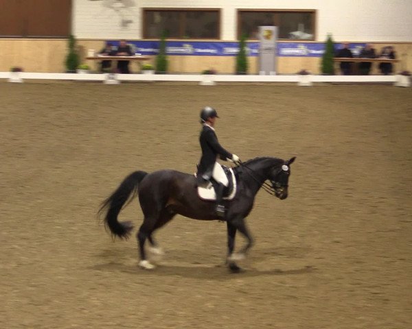 Dressur- und Jugendturnier Hövelhof 2016
