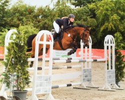 jumper Choana B (Hanoverian, 2008, from Carlucci 13)