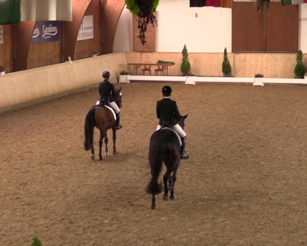 Dressur- und Jugendturnier Hövelhof 2016