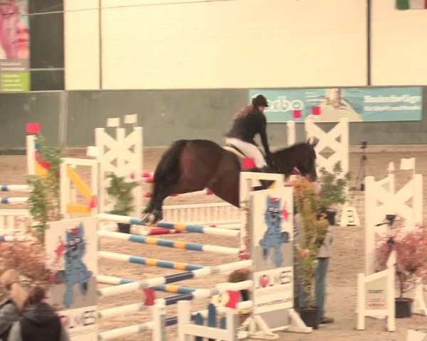 16. Salzkottener Pferdefestival 2016