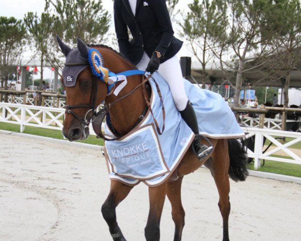 Springpferd Claraddo (Holsteiner, 2007, von Clarimo Ask)