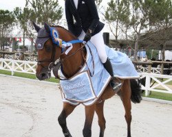 jumper Claraddo (Holsteiner, 2007, from Clarimo Ask)