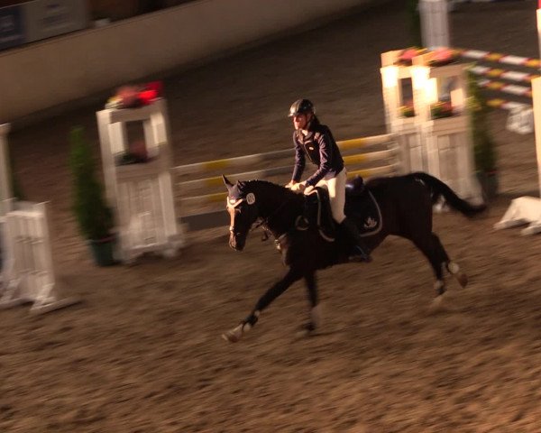 Dressur- und Jugendturnier Hövelhof 2016
