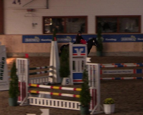 Dressur- und Jugendturnier Hövelhof 2016