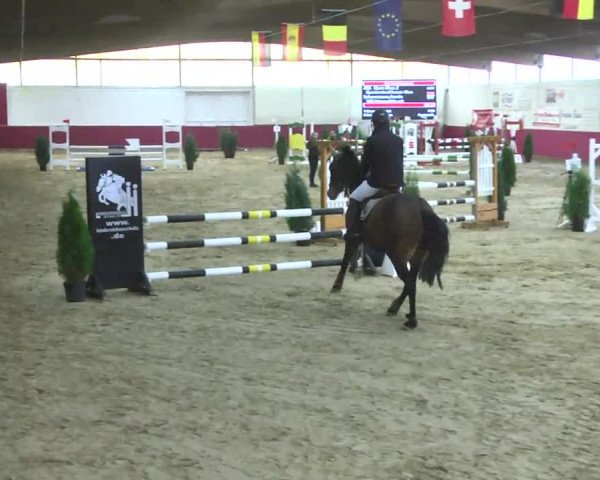 Reitturnier Trier - Hofgut Monaise 2016