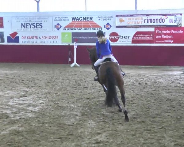 Reitturnier Trier - Hofgut Monaise 2016