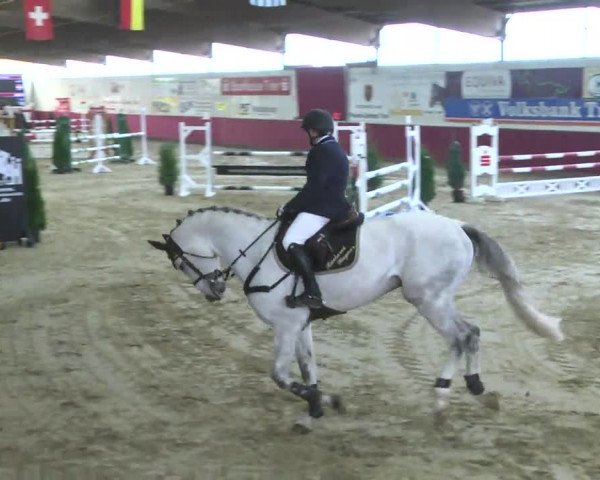Reitturnier Trier - Hofgut Monaise 2016