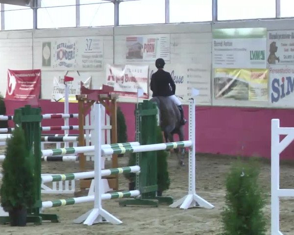 Reitturnier Trier - Hofgut Monaise 2016