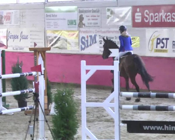 Reitturnier Trier - Hofgut Monaise 2016