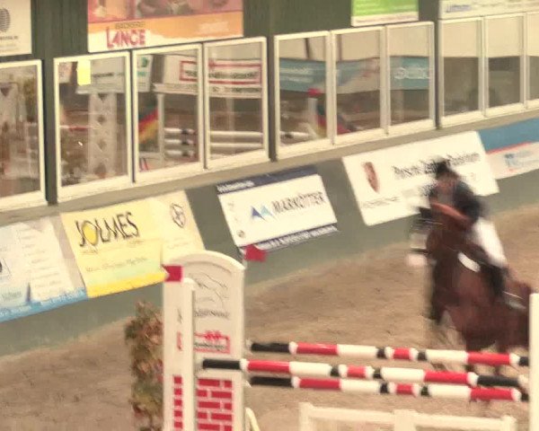 16. Salzkottener Pferdefestival 2016