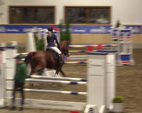 Dressur- und Jugendturnier Hövelhof 2016