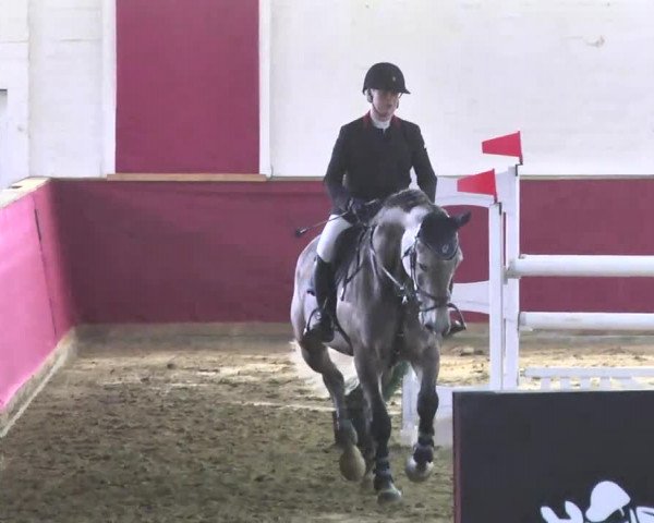 Reitturnier Trier - Hofgut Monaise 2016