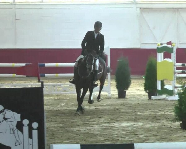 Reitturnier Trier - Hofgut Monaise 2016