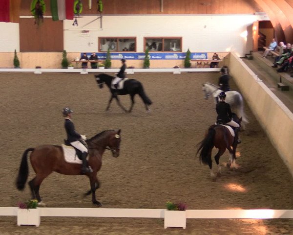 Dressur- und Jugendturnier Hövelhof 2016