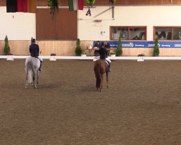 Dressur- und Jugendturnier Hövelhof 2016