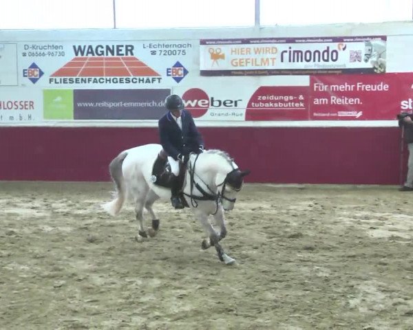 Reitturnier Trier - Hofgut Monaise 2016