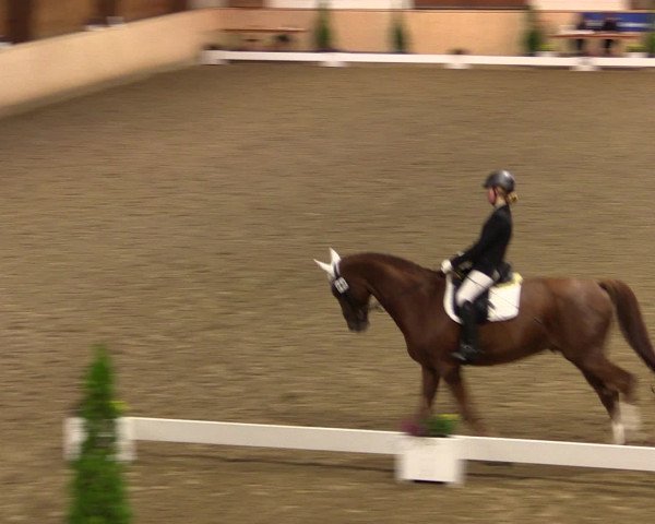 Dressur- und Jugendturnier Hövelhof 2016