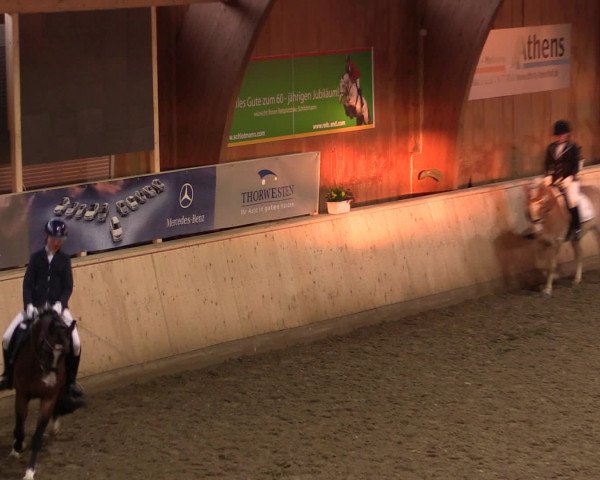 Dressur- und Jugendturnier Hövelhof 2016