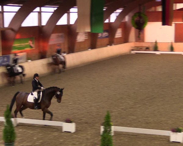 Dressur- und Jugendturnier Hövelhof 2016